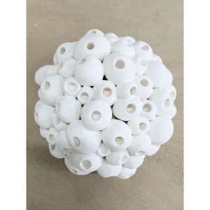 Bubble Coral
