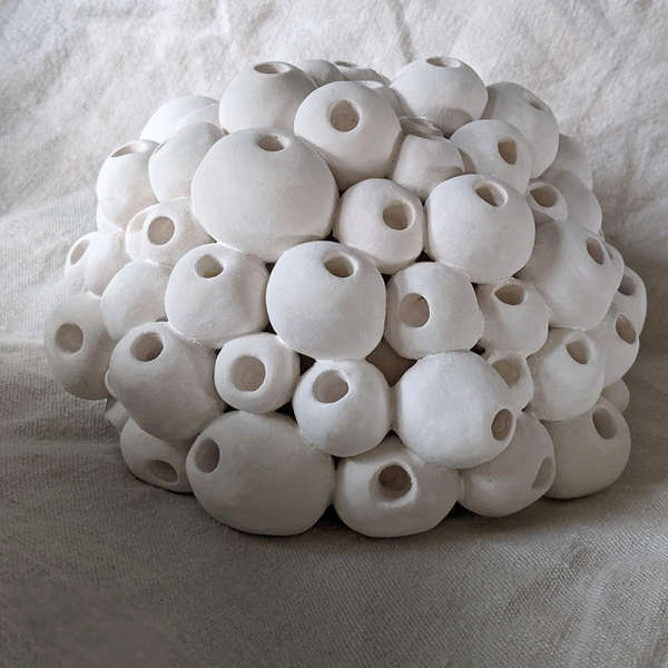 Bubble Coral