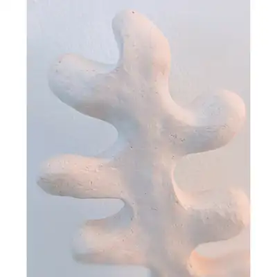 Sculpture Algue Blanche