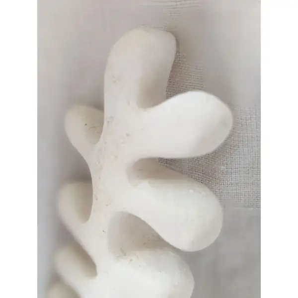 Sculpture Algue Matisse