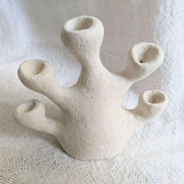 Vase coraux