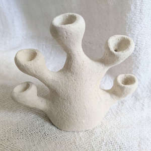 Vase coraux
