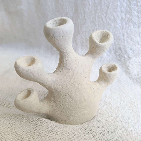 Vase coraux