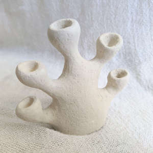 Vase coraux